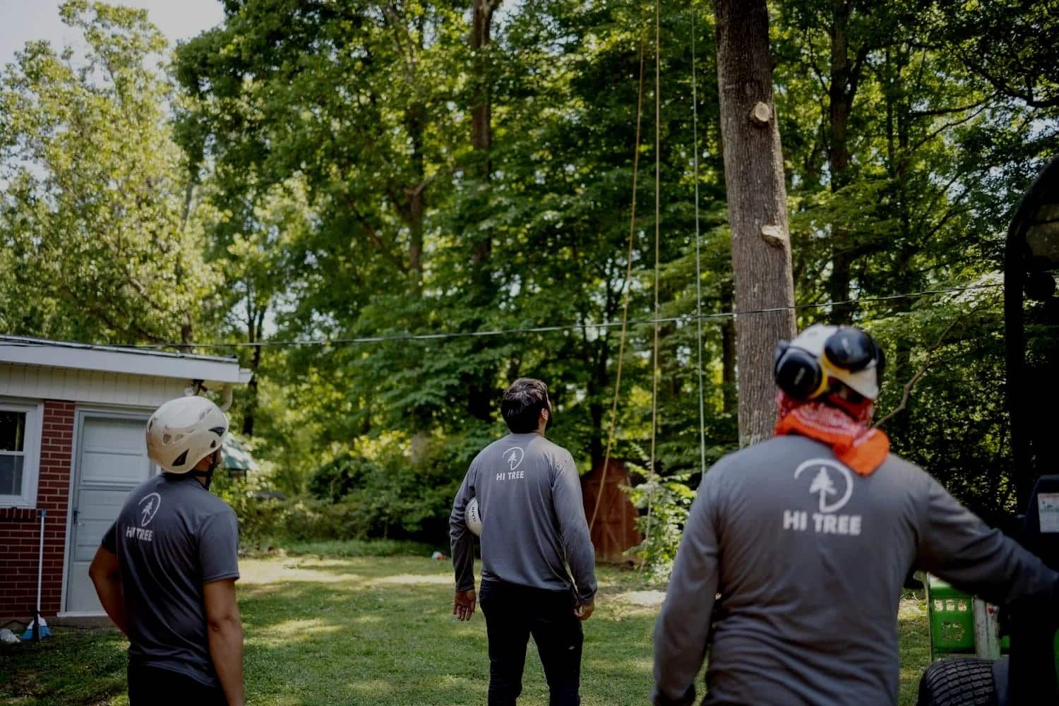 Completed tree work projects in Charlotte, NC